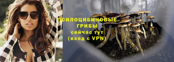 дживик Армянск