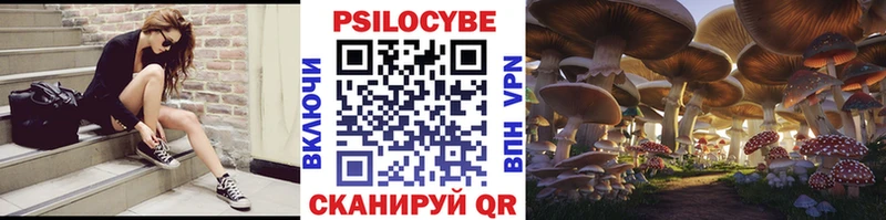 Псилоцибиновые грибы прущие грибы  цены   hydra ONION  Алапаевск 