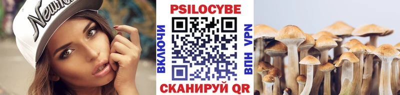 Галлюциногенные грибы Psilocybe Алапаевск